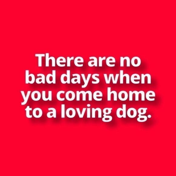 Pup Crew Gingerbread & Hot Cocoa Print Knit Pet Pajamas XS NWOT - Picture 2 of 7